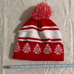 Little Debbie Christmas Tree Cake Pom Pom Beanie Hat